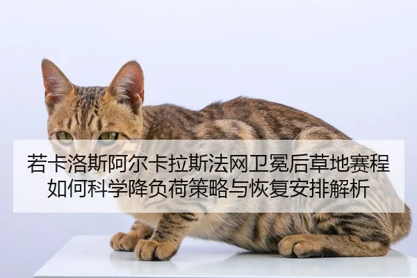 ruo-ka-luo-si-a-er-ka-la-si-fa-wang-wei-mian-hou-cao-di-sai-cheng-ru-he-ke-xue-jiang-fu-he-ce-lve-yu-hui-fu-an-pai-jie-2-291.jpg