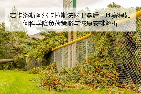 若卡洛斯阿尔卡拉斯法网卫冕后草地赛程如何科学降负荷策略与恢复安排解析