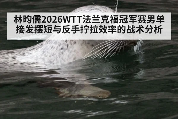 林昀儒2026WTT法兰克福冠军赛男单接发摆短与反手拧拉效率的战术分析